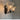 Buckingham 2 light Wall Light - in2 Lighting Australia